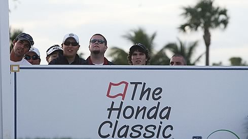 與你再遇鮮花盛開之丘 视频截图