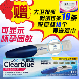 東方的承諾 视频截图