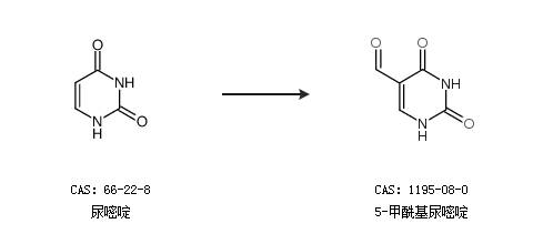 世界在我們腳下 视频截图