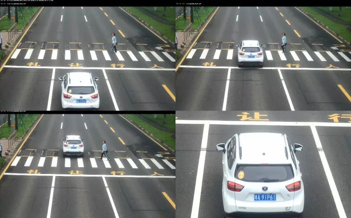 一條狗的使命2（國語版）