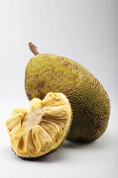 一個兄弟和七個兄弟姐妹