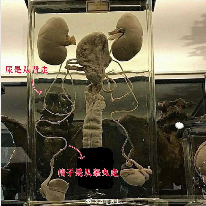 世界奇妙物語35周年特別篇～傳奇名作秋季特別篇 视频截图