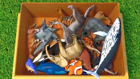 僵屍怕怕 视频截图