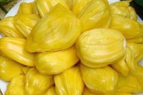 僵屍驅離劑 视频截图