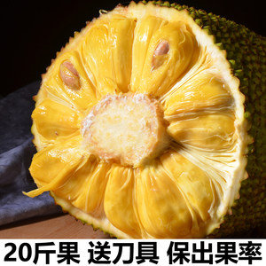 不為人知的故事 视频截图