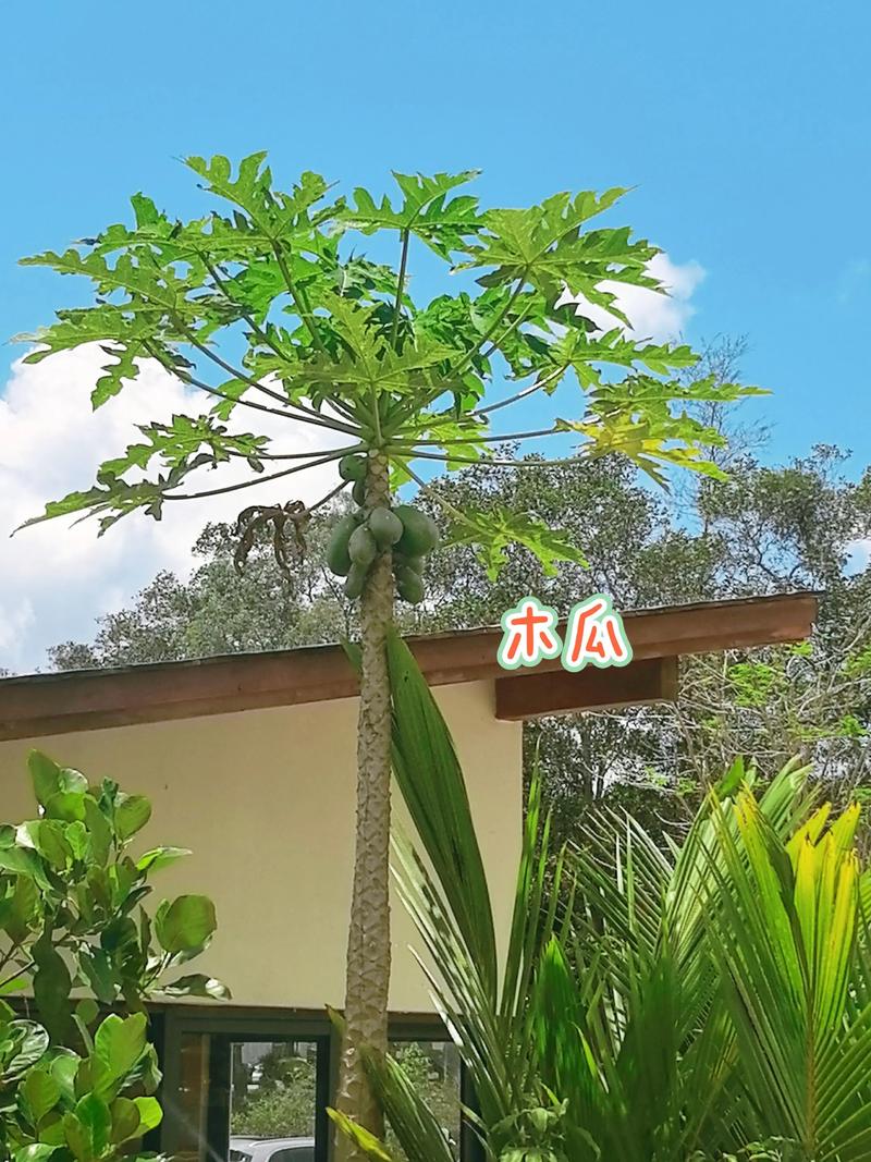 僵屍啟示錄：救贖 视频截图