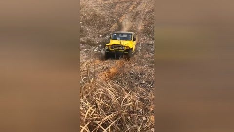 不了情 视频截图