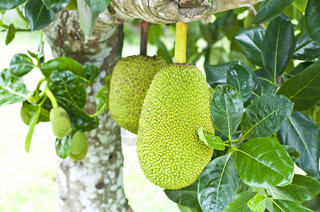 三劍客新傳 视频截图