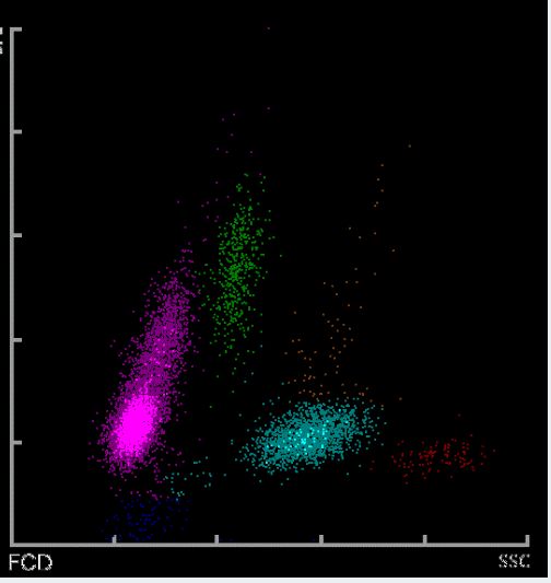 三進山城 视频截图