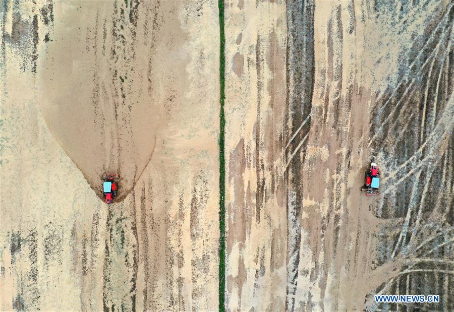 不良關係之如果沒有你 产品图片