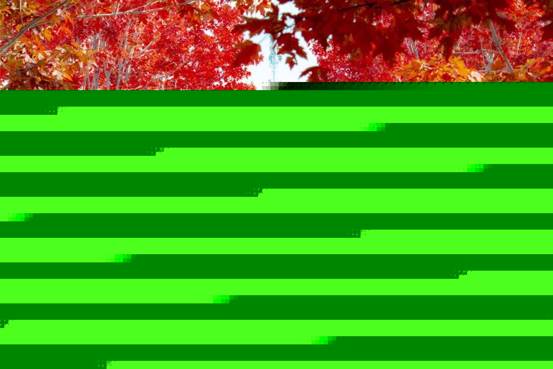 丈夫、父親、殺手：Alyssa Pladl 的故事 视频截图