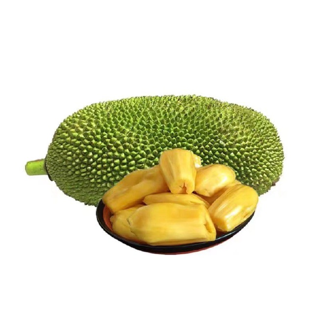 三人行 视频截图