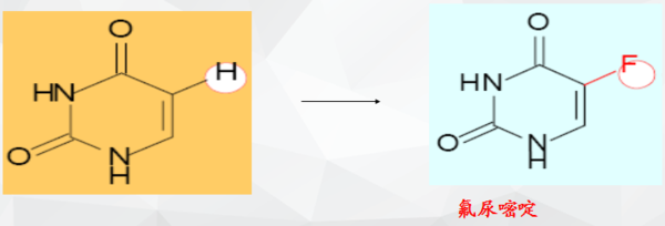 萬能發型師 视频截图