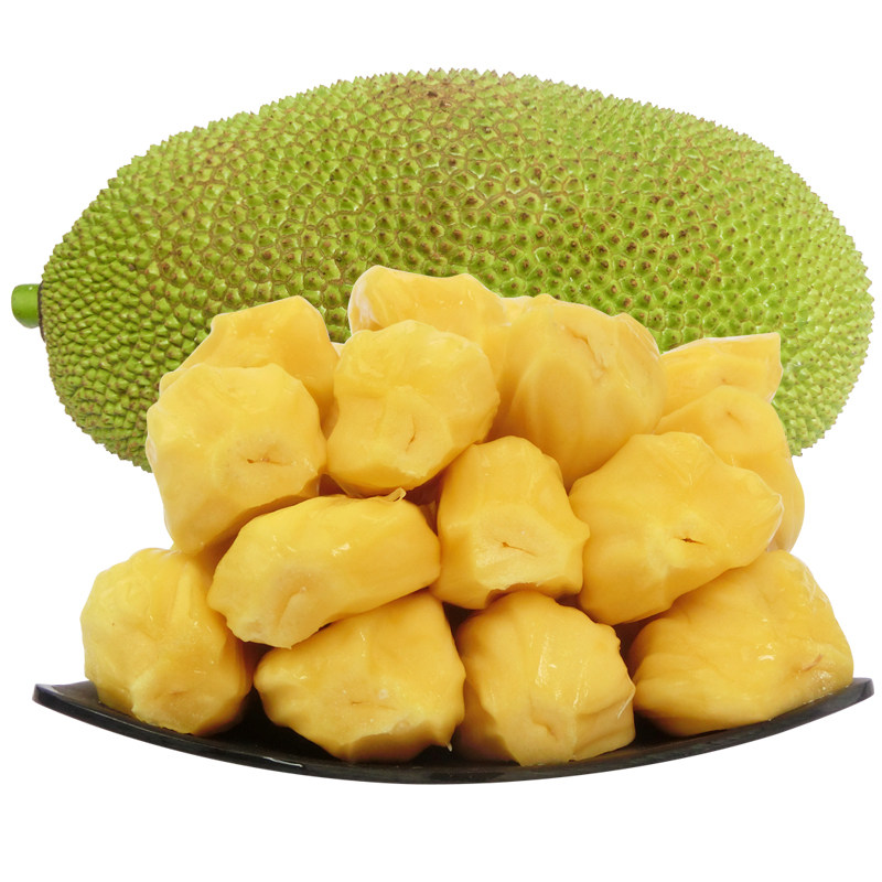 Laughing Gor之變節