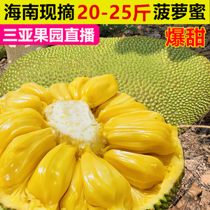 Laughing Gor之變節