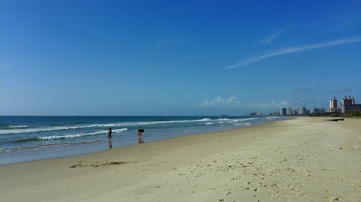 僵屍醫生 产品图片