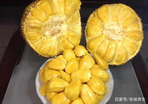 與你隨行 视频截图