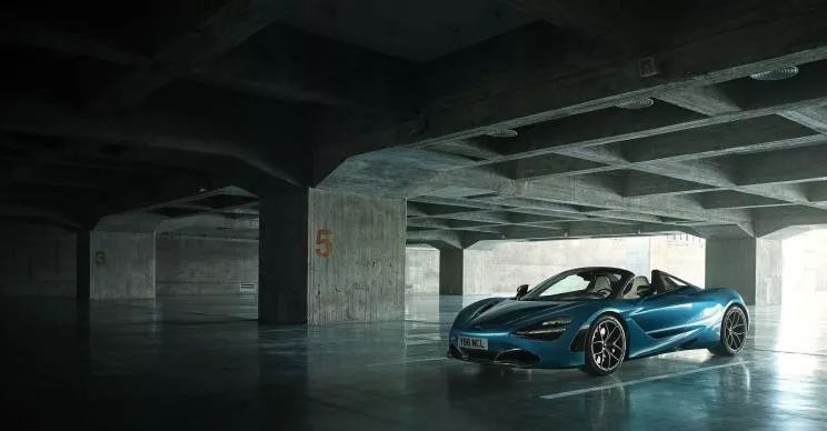 上岸的魚 视频截图