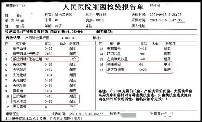 兄妹探寶 产品图片